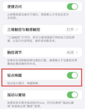 辽阳苹果授权维修站分享iPhone轻点无法唤醒怎么办 