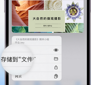 辽阳apple维修中心分享iPhone文件应用中存储和找到下载文件