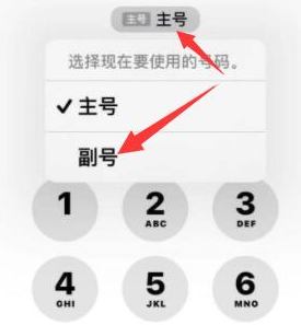 辽阳苹果14维修店分享iPhone 14 Pro Max使用副卡打电话的方法 