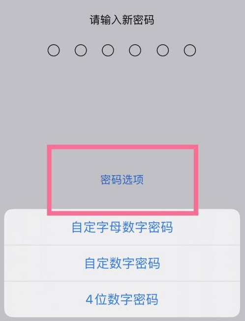 辽阳苹果14维修分享iPhone 14plus设置密码的方法 