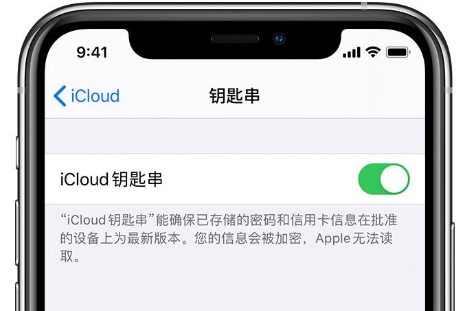 辽阳苹果手机维修分享在 iPhone 上开启 iCloud 钥匙串之后会储存哪些信息 