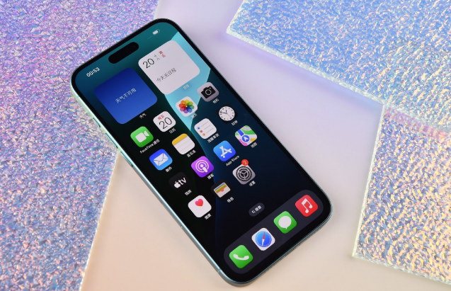 辽阳苹果手机维修分享为什么大家不喜欢苹果iPhone 16 Plus 